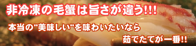 �ӳ�