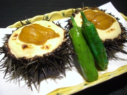 ���˥��饿��